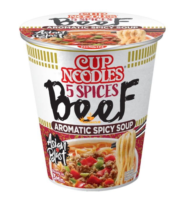 INST. NOODLE 5 SPICES BEEF